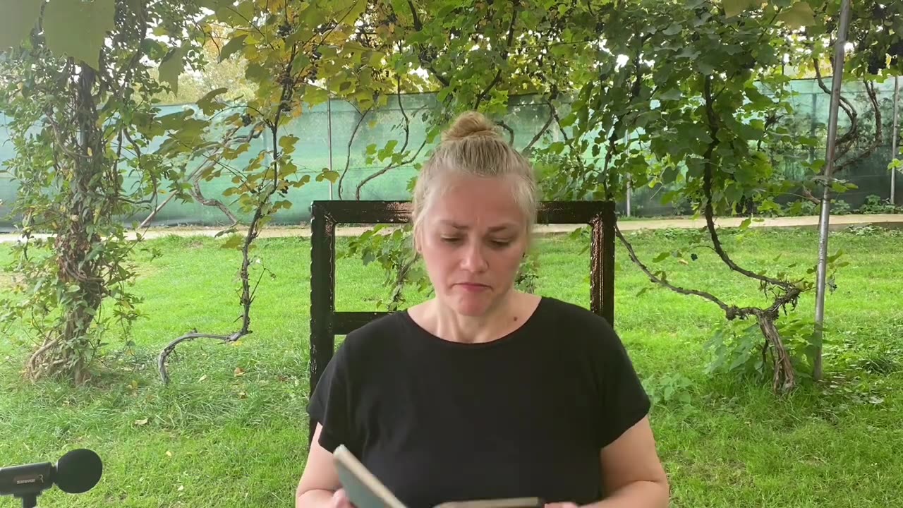 12 - Paisprezece cuvinte de origine italiană
