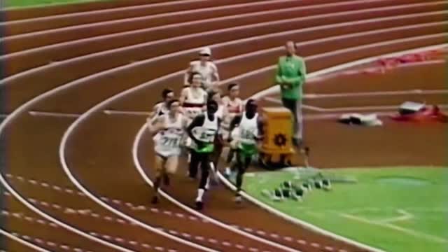 Otevřeme česko - Černý kůň voleb 2021