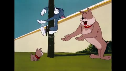 Tom and Jerry