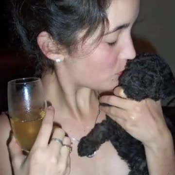 Emotivo video, un perrito no se separa de su ama que lleva cuatro años de fallecida