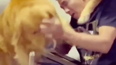 See what the dog did to its owner 🐕😅| Please Follow Me