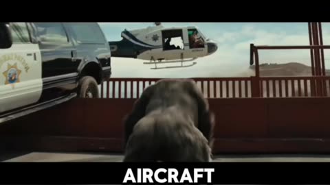 Gorilla 🦍 vs Helicopter 🚁 Scene