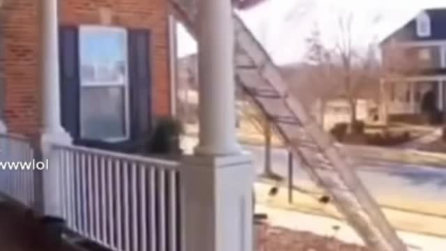 I You Had Not Watched This What Are You Doing 2lo