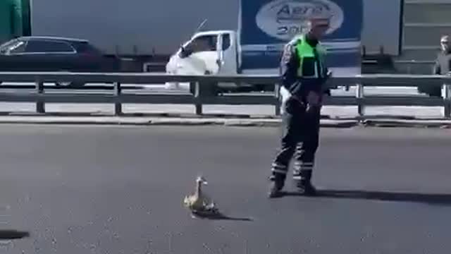 🦆 And let the whole world wait