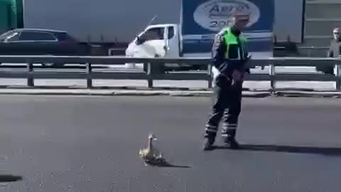 🦆 And let the whole world wait