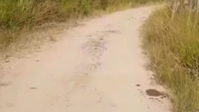 cycling to the waterfall