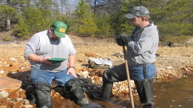 VA Gold On the Creek Contrary Creek Jan with Goldveiner Hartwood 2