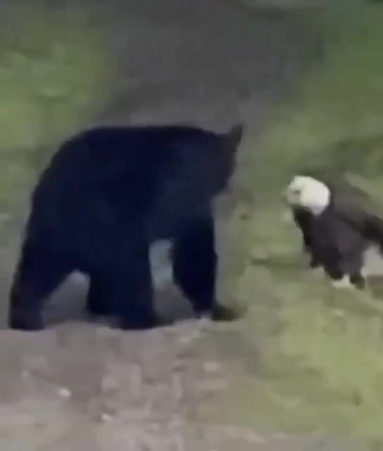 stań na pierwszym planie, żyj jak bohater