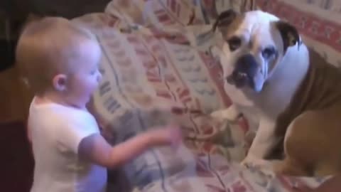 Baby talking to dog