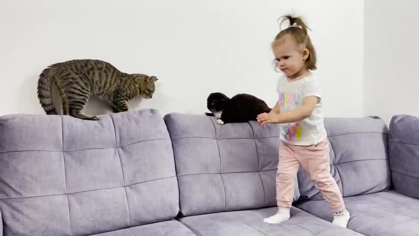 Cute_Baby_Trying_to_Cheer_Two_Cats._Funny_Video