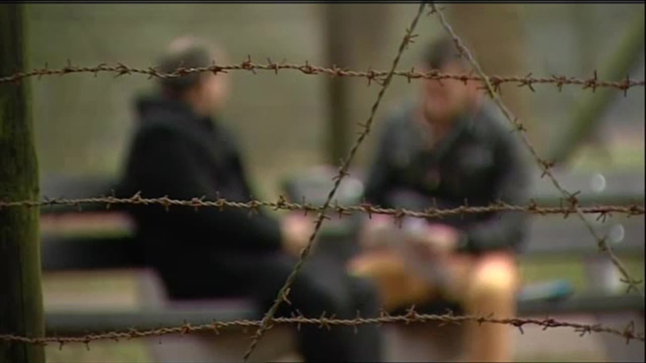 Blok 10, het experimentenblok in Auschwitz
