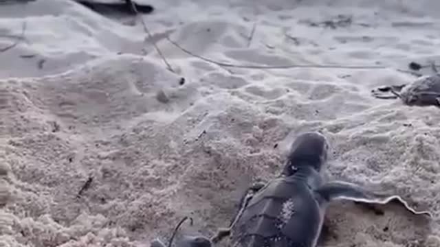 MORNING WORLD 🌎 🙏