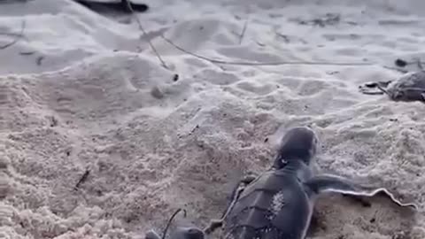 MORNING WORLD 🌎 🙏