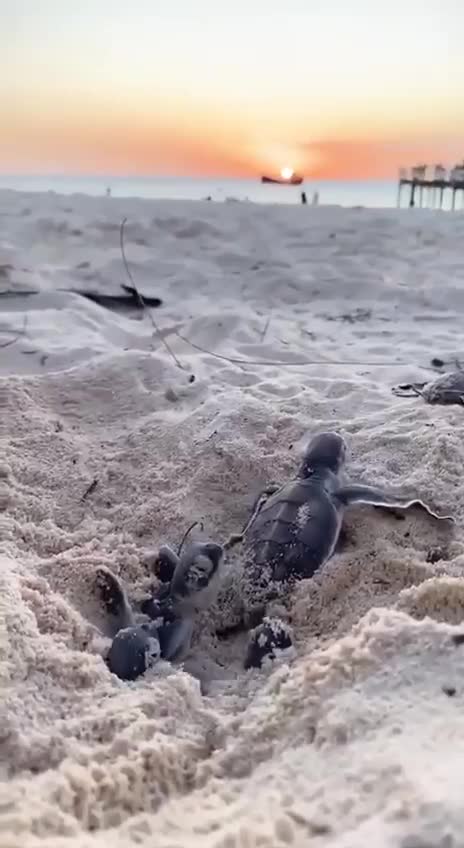 MORNING WORLD 🌎 🙏