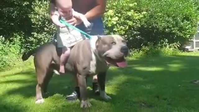 Small boy on pet dog