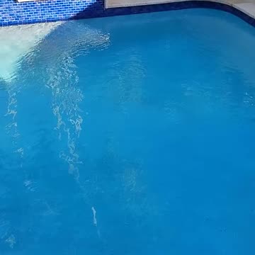 ...The Sound of Freedom from West Palm Beach, Florida!