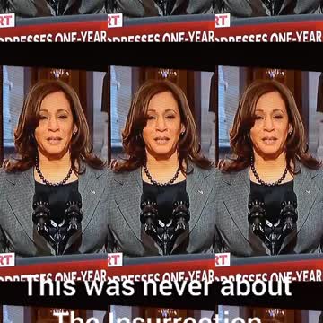 THIS WAS NEVER ABOUT AN #INSURRECTION