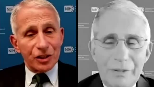 1436. CAUGHT💥FAUCI🚨 Will be executed when found guilty