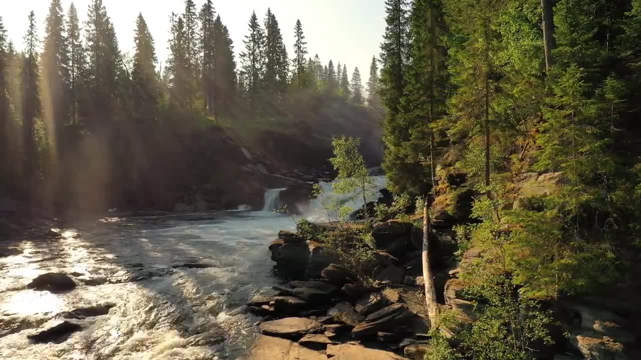 Waterfall I Flowing River I Jungle I Nature Stock Footage