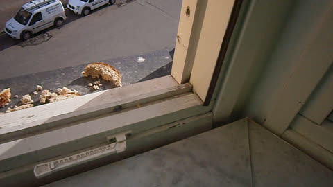 Packat och klart att flyttas. Visitörsg. 13 Helsingborg 25 Mars 2013