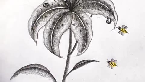 Unbelievable art video