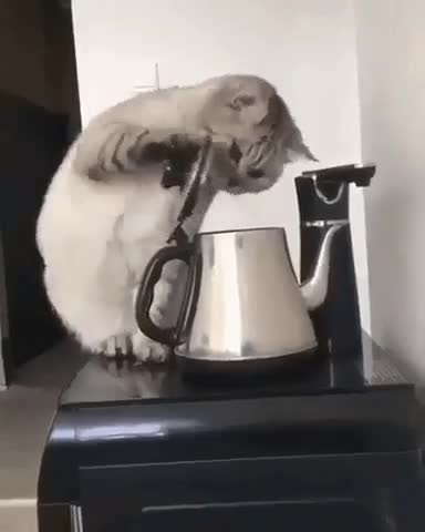 At least drink some water