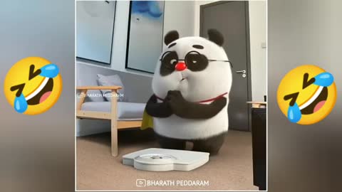 yt1s.com - Cute Panda WhatsApp Status Measuring Weight Cradles WhatsApp Status Bamboo Panda