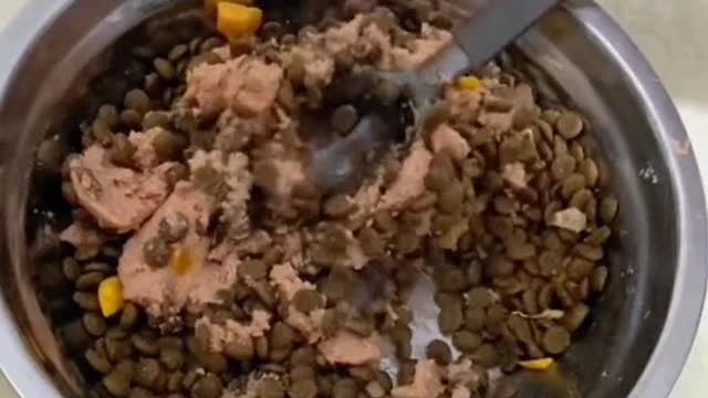 Do you really love puppies or does every puppy want to be patted on the head