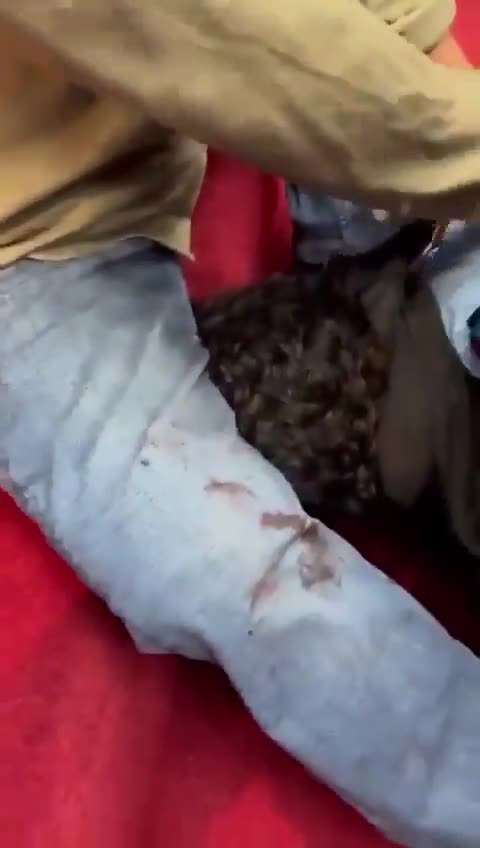 Bishop Mar Mari Emmanuel‘a Attacker Subdued by Parishioners