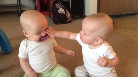 Twins Baby fight so amezing