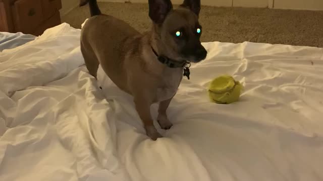 Halloween Ghost at 26 seconds ?