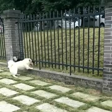 when you want to follow your friends but..?