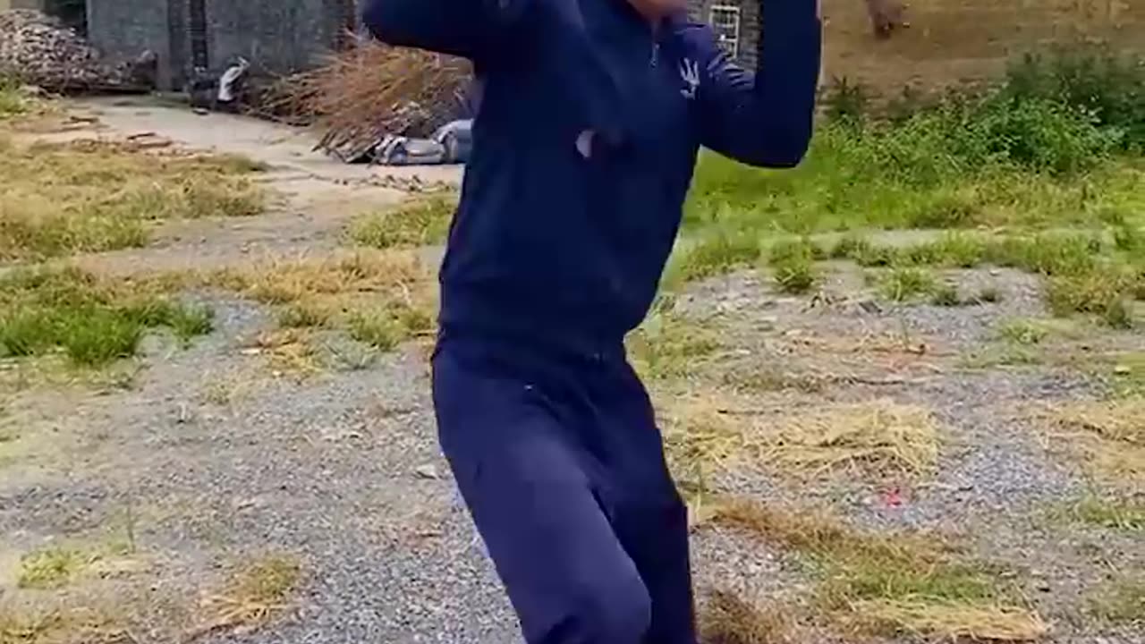 funny videos