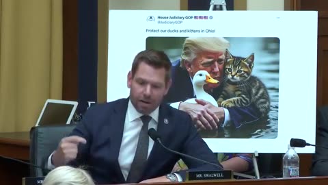 Eric Swalwell melts down over Donald Trump cat memes