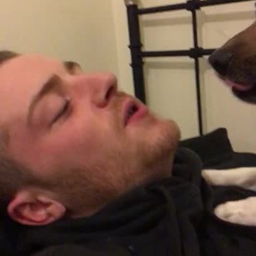 Murphy loves kissing jimmy