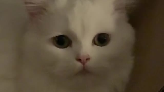 omg she is so cute