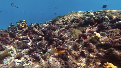 Fernando de Noronha is all of that! Unbelievable landscapes,