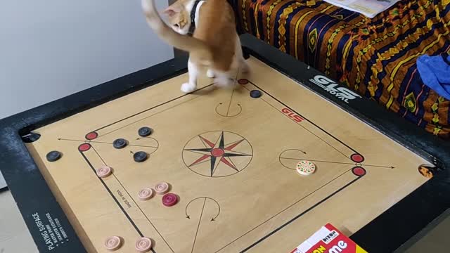 Carrom : Pro-level shots by Cheeto