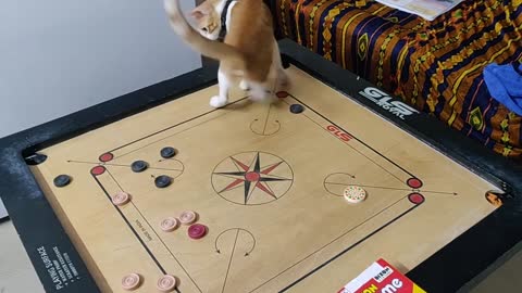 Carrom : Pro-level shots by Cheeto