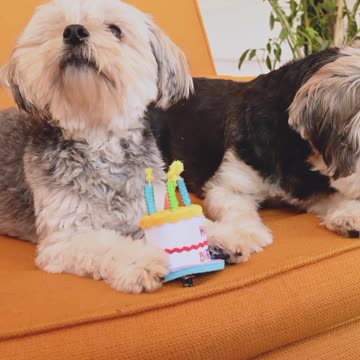 #rumble #rumbleviral #rumblevideo #rumblefeature #rumbleforyou