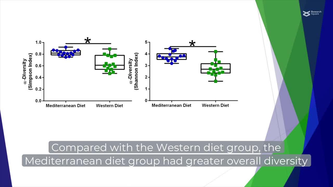 Diet, obesity, and gut microbes determinants of metabolic outcomes in non human primates