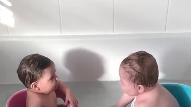 I bathed my two lovely babies. I had a good laugh.