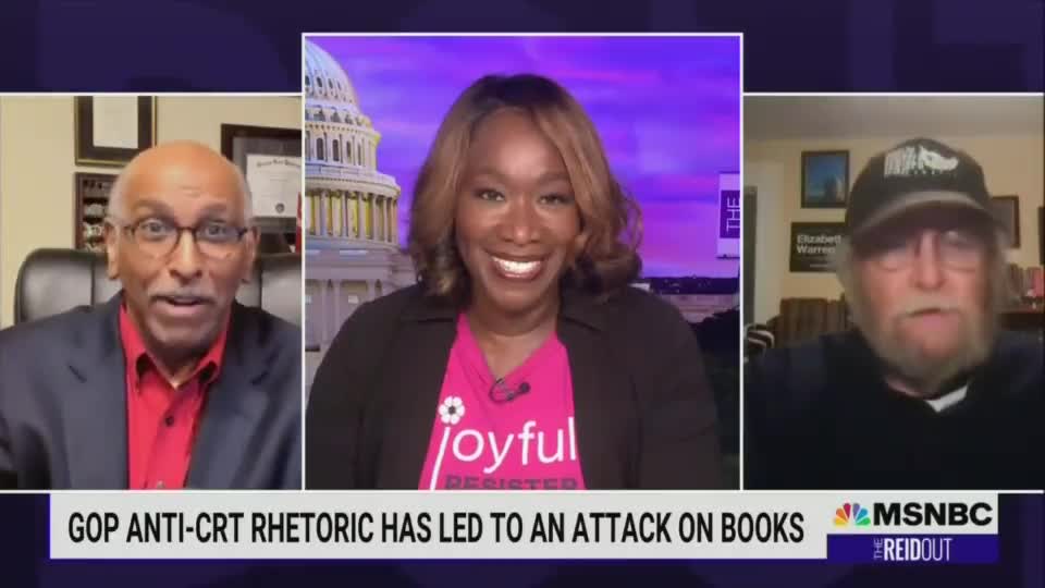 MSNBC's Joy Reid STUNS Viewers With Her Take on Sexual Material in Schools