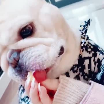 Fruits treats are always the best.