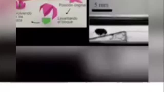 Magnetismo usado na criação artificial científica