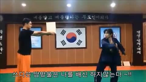 Hapkido Kicking