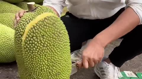 Fruit cutting skills