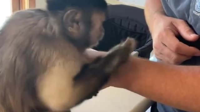 Bun Funny stuff!!! Like Father Like Daughter the apple didn't fall far 🤣🤣🤣🤣🤣🐒🐒🐒