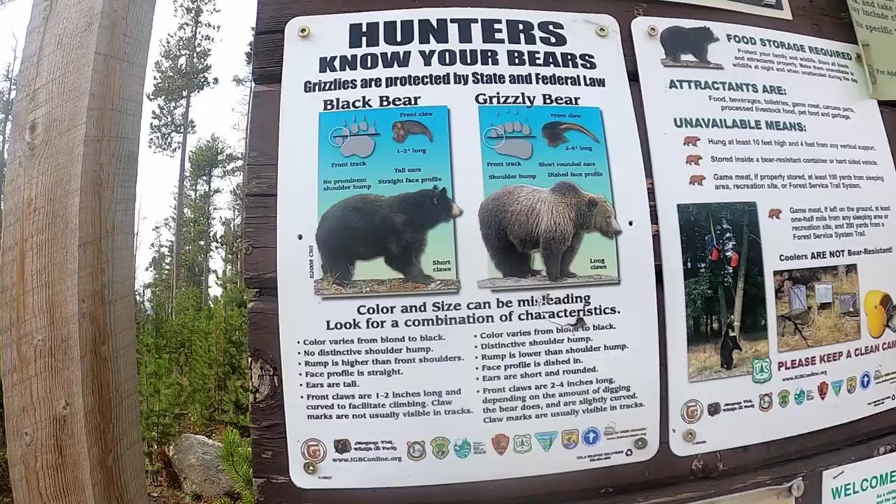 REMOTE Camping Meal in Grizzly Country