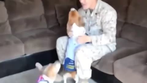 Dogs Welcoming Soldiers